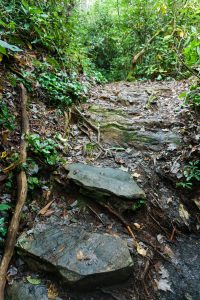 Rock Steps on the Duggers Creek Trail