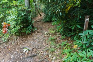 Start of Duggers Creek Trail