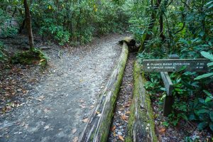 Plunge Basin and Gorge Trails