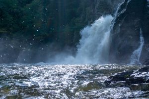 The power of Linville Falls turns the plunge basin into a churning maelstrom with whitecaps lashing the rocks. It's mesmerizing.