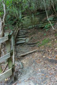 Steps to Plunge Basin Overlook