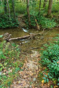 First Creek Crossing on Hickory Branch