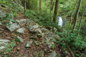 Hickory Branch Falls from the Trail