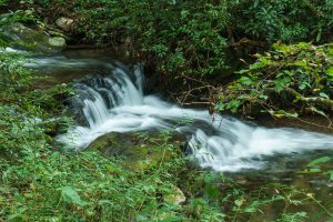 Small Cascade on Hickory Branch