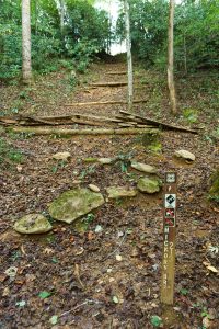 Start of the Hickory Branch Trail