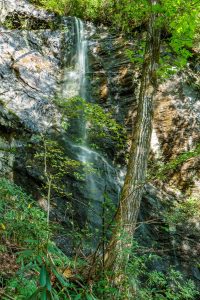 Wet Weather Waterfall near Hickory Branch Falls