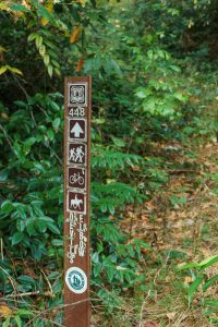 Start of the Devils Elbow Trail