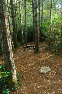 Nice Campsite on the Greenland Creek Trail