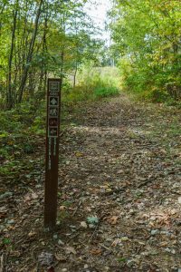 Start of the Greenland Creek Trail