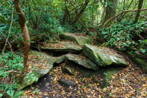 Exposed Rocks on the Greenland Creek Trail