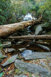 Scramble to Greenland Creek Falls