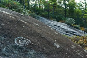 Lichens on Little Green Mountain