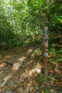 Little Green Trail at Mac's Gap