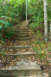 Stair Steps on Little Green Trail
