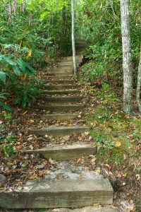Stair Steps on Little Green Trail