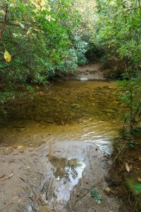 Greenland Creek Ford on the Macs Gap Trail