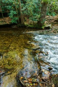 Rock Hop Crossing of Greenland Creek