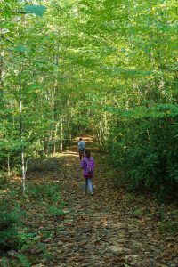 Macs Gap Trail in Saddle