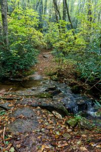 Small Stream Crossing on the Macs Gap Trail