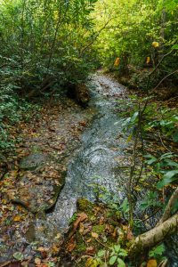 Stream and Macs Gap Trail