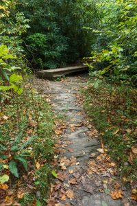 Footbridge on the Panthertown Valley Trail