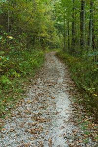 Panthertown Valley Trail Old Gravel Road