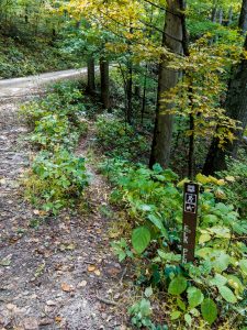 Upper End of Elk Pen