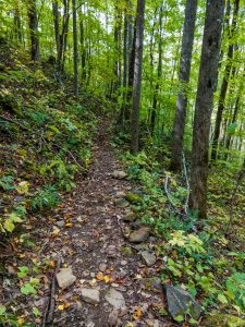 Sidehill Section of Elk Pen Trail