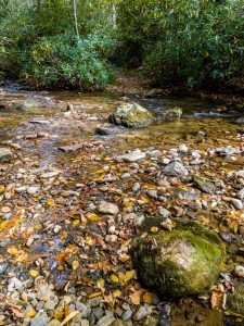 Creek Crossing on Elk Pen Trail