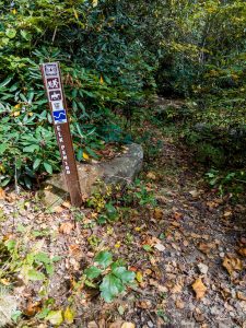 Start of the Elk Pen Trail