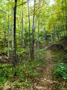 Upper Corner Rock Trail Cove