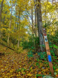 Fall Color on the White Oak Trail