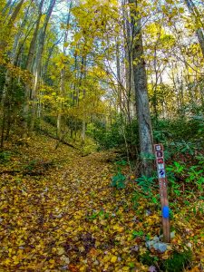 White Oak Trail Sign