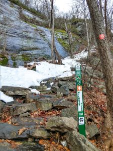 Climb Up From Little Bearwallow Falls