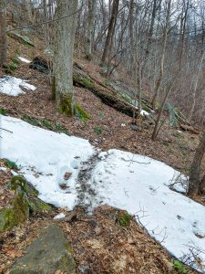 Patches of Snow on Little Bearwallow Mountain