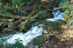 Wet Crossing of Bearwallow Branch