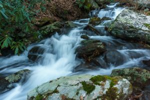 Full Streams along the Buck Spring Trail