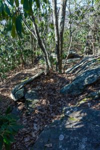 Boulder Field on the Rocky Head Trail