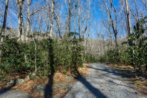 Start of the Rocky Head Trail