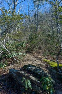 Rocky Head Trail on the Ridge