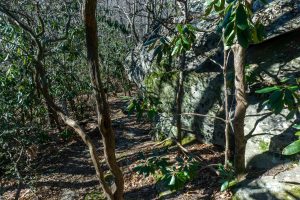 Rock Outcrop on the Rocky Head Trail