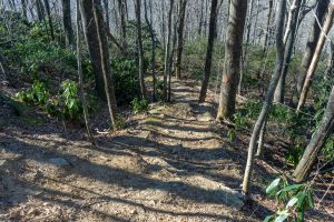 Steep Section of the Rocky Head Trail