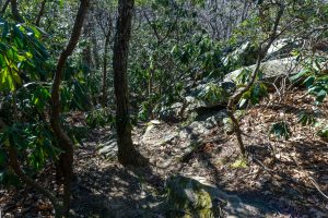 Up And Over Stones on the Rocky Head Trail