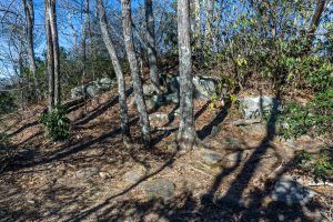 Summit of Rocky Head