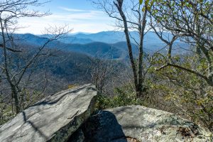 View from the Rocky Head Trail