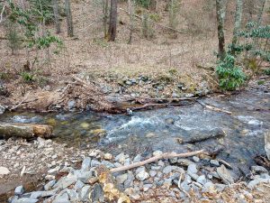 Fairy House Trail Start