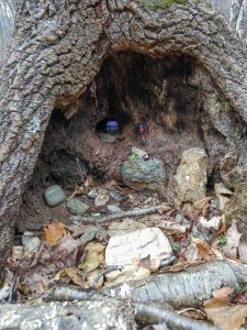 Fairy House in a Sourwood