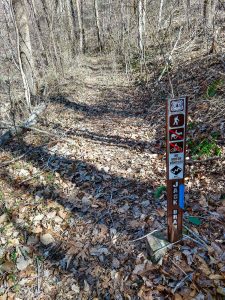 Start of the Jack Branch Trail