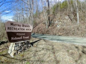 Start of the River Ridge & Jack Branch Trails