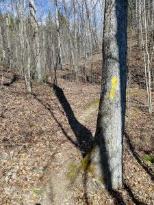 Start of the River Ridge Loop Trail